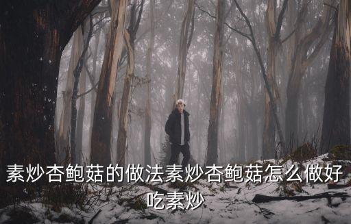 素炒杏鮑菇的做法素炒杏鮑菇怎么做好吃素炒