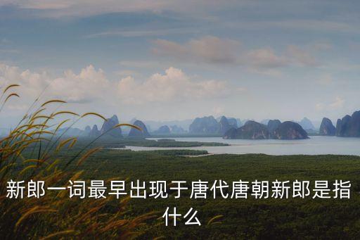 新郎，新郎是什么意思