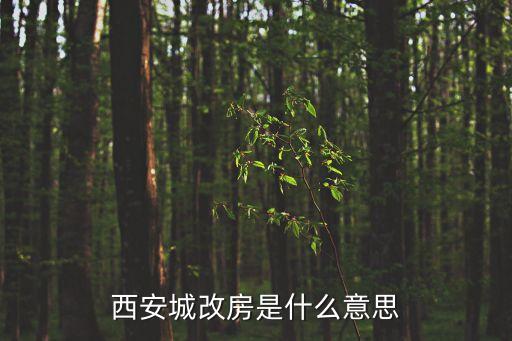 城改房，西安城改房是什么意思