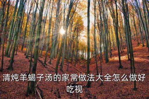 清燉羊蝎子，清燉羊蝎子怎么做好吃