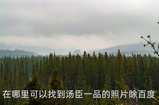 上海市湯臣一品圖片，在哪里可以找到湯臣一品的照片除百度