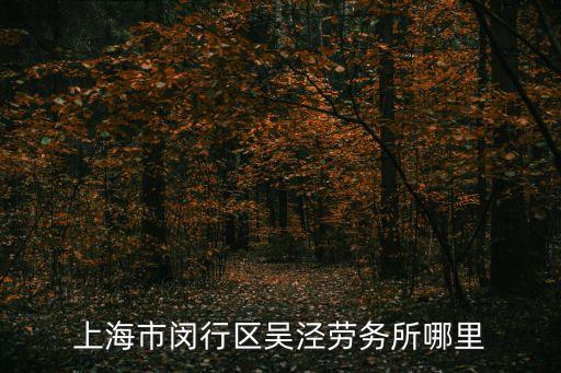 上海市閔行區吳涇勞務所哪里