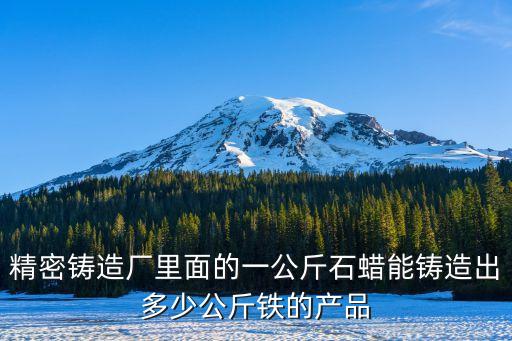 上海市戩浜精密鑄造廠，上海有哪些壓鑄廠