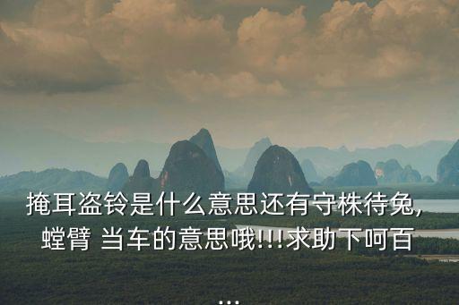 掩耳盜鈴是什么意思還有守株待兔, 螳臂 當車的意思哦!!!求助下呵百...
