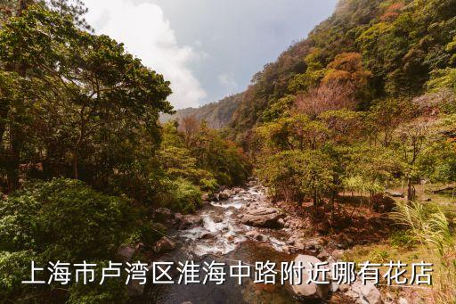 上海市盧灣花店，盧灣區(qū)大上海時(shí)代廣場(chǎng) 怎么去訂購(gòu)鮮花的哦