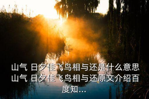 山氣日夕佳,1:山氣日夕佳鳥與相譯:有鳥帶同伴歸來
