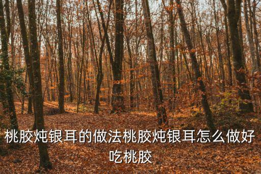 桃膠燉銀耳的做法桃膠燉銀耳怎么做好吃桃膠