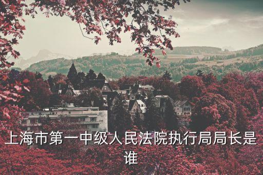 上海市第一中級(jí)人民法院執(zhí)行局局長(zhǎng)是誰(shuí)