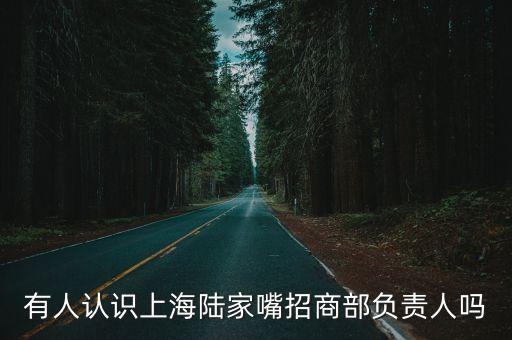 上海市招商部主任是什么級別，有人認識上海陸家嘴招商部負責人嗎