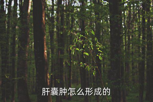 肝囊腫是怎么引起的，肝囊腫是怎么形成的