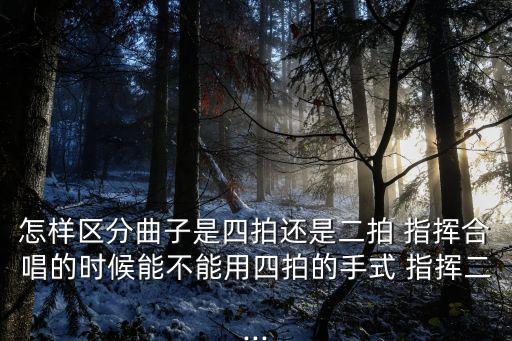 四二拍指揮手勢,四個手勢你不能用兩拍打一首歌