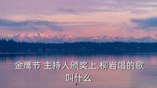 金鷹節(jié)主持人,《羊城漫步》主持人阿達(dá)獲頒金鷹節(jié)最佳主持