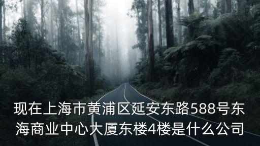 上海市雪巖消防有限公司，現在上海市黃浦區延安東路588號東海商業中心大廈東樓4樓是什么公司