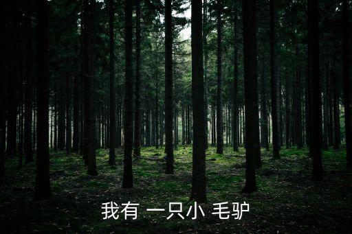 我有 一只小 毛驢