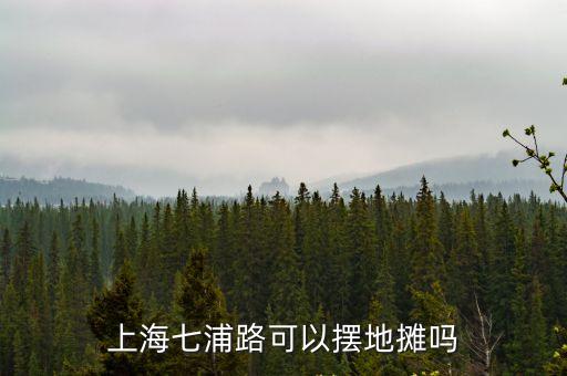 地攤上海市靜安區七浦可以擺嗎，上海靜安區在哪里可以擺地攤啊還要注意什么城管會不會來抓啊
