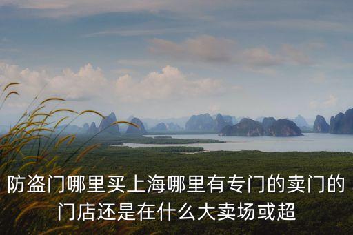 防盜門哪里買上海哪里有專門的賣門的門店還是在什么大賣場或超