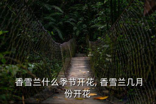  香雪蘭什么季節(jié)開花, 香雪蘭幾月份開花