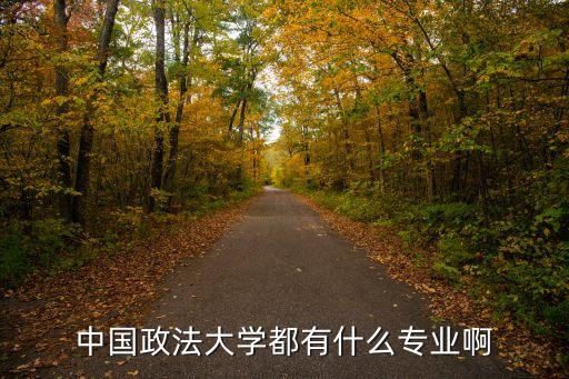 中國政法大學(xué)都有什么專業(yè)啊