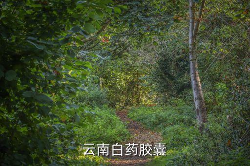 云南白藥膠囊，云南白藥膠囊