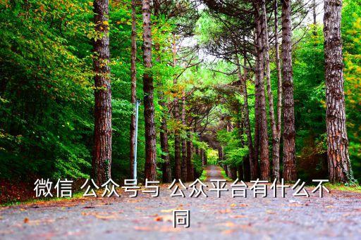 微信公眾帳號(hào),利用公眾賬號(hào)平臺(tái)開(kāi)展自媒體活動(dòng)簡(jiǎn)單說(shuō)法