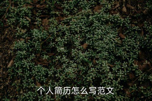 個人簡歷怎么寫范文