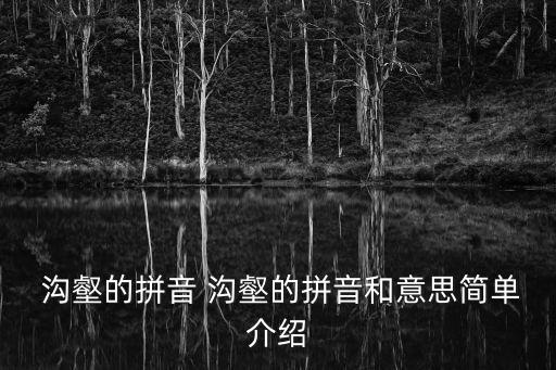 溝壑是什么意思,溝壑:母親臉上皺紋縱橫交錯(cuò)像一條條溝壑