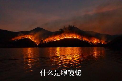 什么是眼鏡蛇
