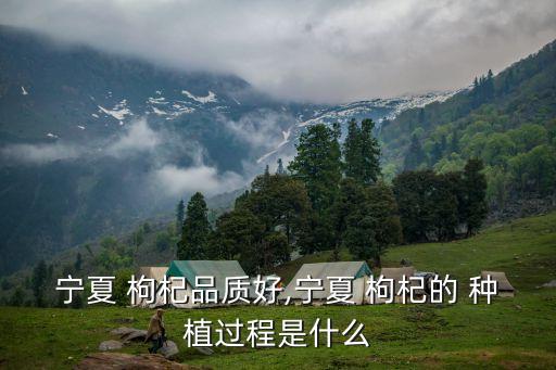枸杞樹苗怎么種植,枸杞每周間隔1.4x2m成熟