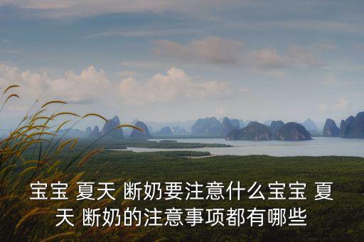 寶寶 夏天 斷奶要注意什么寶寶 夏天 斷奶的注意事項(xiàng)都有哪些
