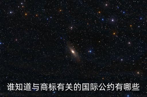 國際公約，我國正式簽署的與環境職業健康安全等有關的國際公約有哪些