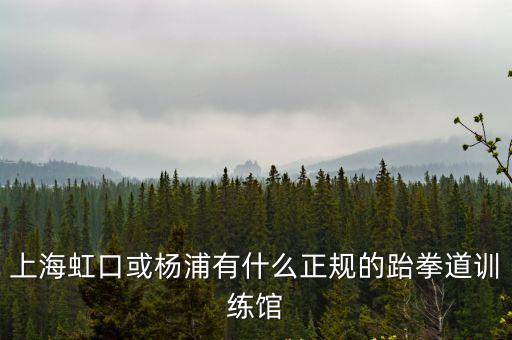 上海市楊浦區(qū)跆拳道，上海虹口或楊浦有什么正規(guī)的跆拳道訓(xùn)練館