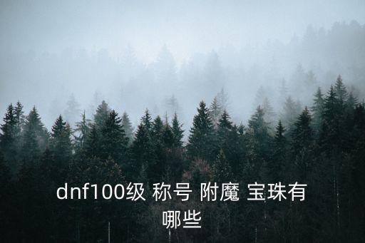 dnf100級 稱號 附魔 寶珠有哪些