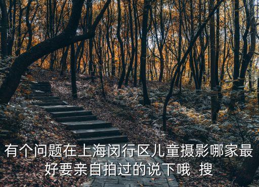 上海市閔行區文博小學2015年照片，上海閔行區那個小學好呀謝謝