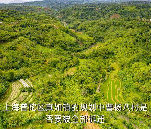 上海市普陀區(qū)曹楊八村改建方案，普陀區(qū)曹楊八村什么時候可以拆遷呀