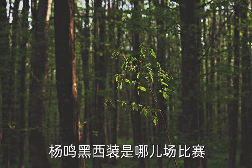 楊鳴,《跑男》第八期楊鳴將是北區全明星主教練