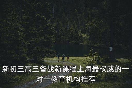 上海市教育機構課程，新初三高三備戰新課程上海最權威的一對一教育機構推薦