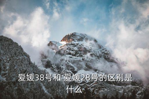 愛媛38號柑桔,愛媛38是日本雜交新品種柑桔