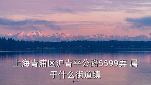 上海青浦區滬青平公路5599弄 屬于什么街道鎮