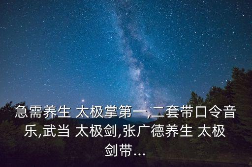 太極功夫扇第二套,太極功夫fan第一套扇碼（雙飛勢)