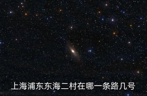 上海浦東東海二村在哪一條路幾號