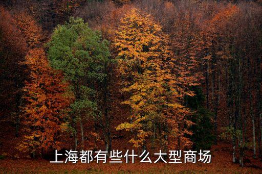 上海市區新開的大型商場，上海新開的百貨市場有哪些