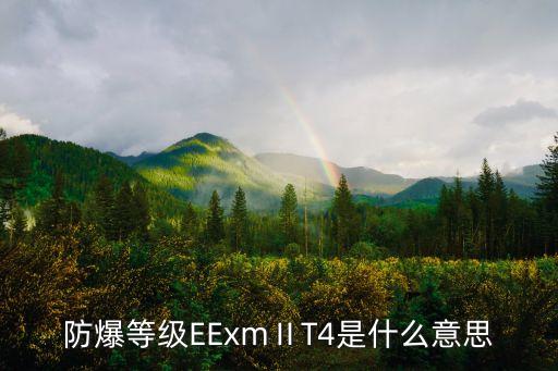 防爆等級EExmⅡT4是什么意思
