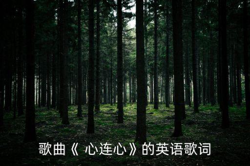 歌曲《 心連心》的英語歌詞