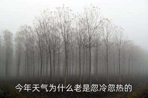 二八月，誰知道2月28日是什么日子