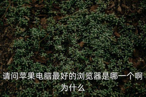 請問蘋果電腦最好的瀏覽器是哪一個啊為什么