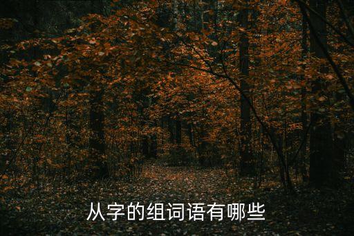 從可以組什么詞，從字的組詞語有哪些