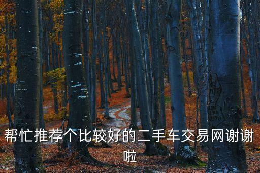 二手車交易平臺排名，現在國內最好的二手車平臺是哪家呢
