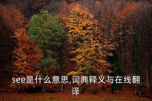 see怎么讀,警方逮捕四名嫌犯包括一名未成年男子