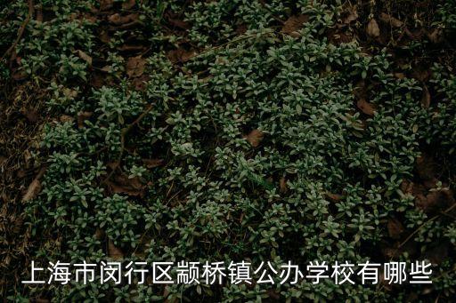 上海市閔行區有哪些公立小學，閔行區比較好的公立小學是哪些