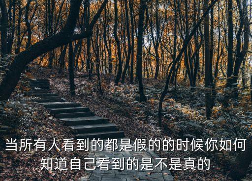 當(dāng)所有人看到的都是假的的時候你如何知道自己看到的是不是真的